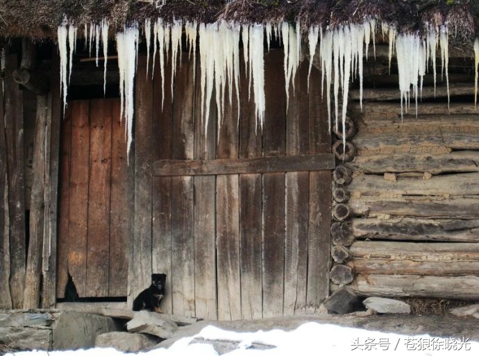 赶山狗视频,民间怪谈狗的故事