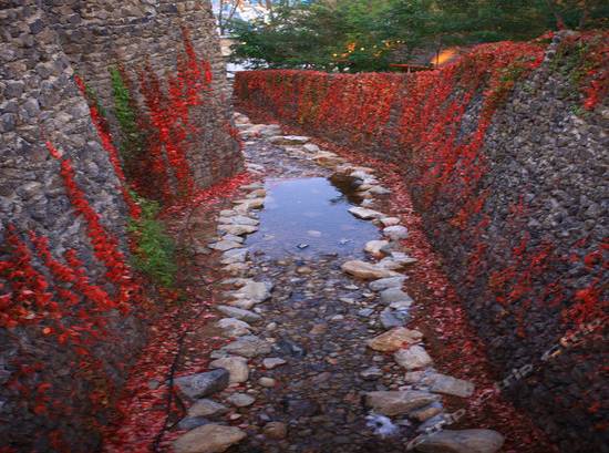 营口降温,营口温泉攻略