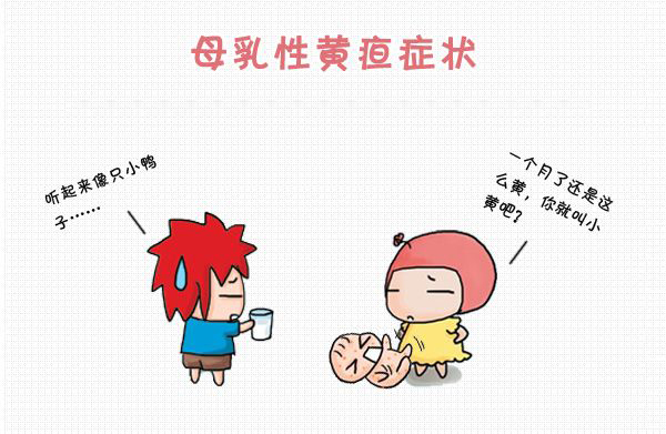 母乳性黄疸的三大特征是什么,母乳性黄疸是哪种胆红素高