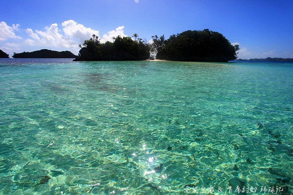 彩虹王国美术作品,彩虹王国紫色