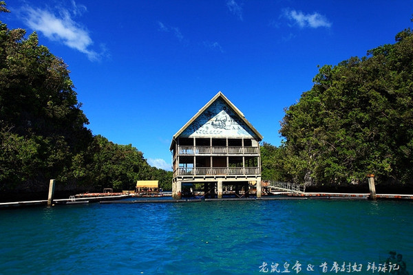 彩虹王国美术作品,彩虹王国紫色