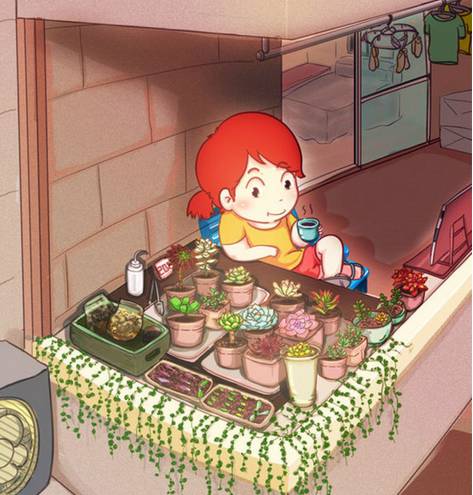 多肉不是徒长就是干,多肉上面黄叶枯萎是什么原因