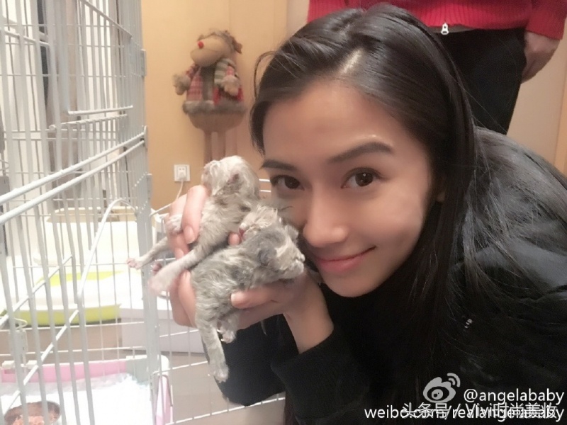 最美猫奴争夺战！铲屎官范冰冰、baby撞衫猫咪洋装谁出彩？