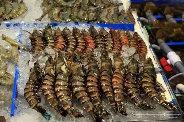 谁做的这本上海生活指南？老结棍了！走遍上海不用愁！