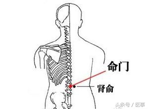 体湿和脾湿的区别,体湿体寒做全身灸有什么表现