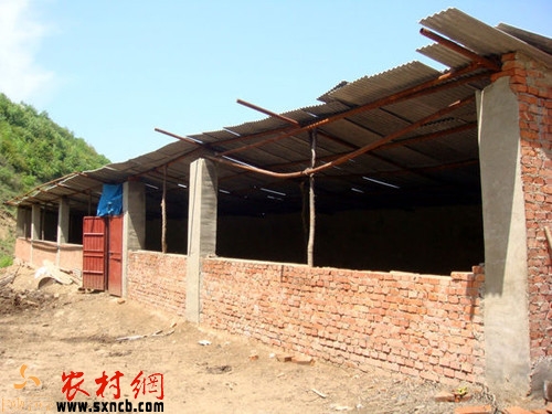 农村创业点子100例,农村创业做什么更挣钱