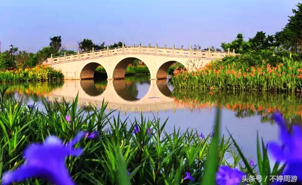 东莞新旅游景点大全,东莞麻涌镇必游景点