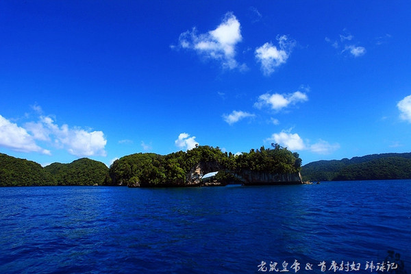 彩虹王国美术作品,彩虹王国紫色