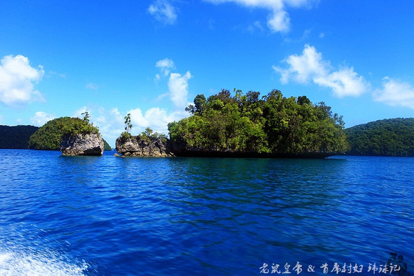 彩虹王国美术作品,彩虹王国紫色