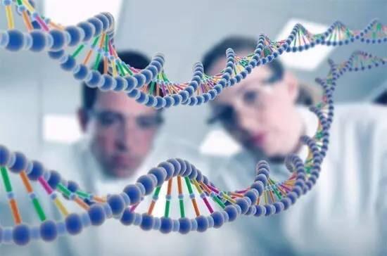 非小细胞肺癌免疫治疗药物,肺癌二线化疗药物有哪些