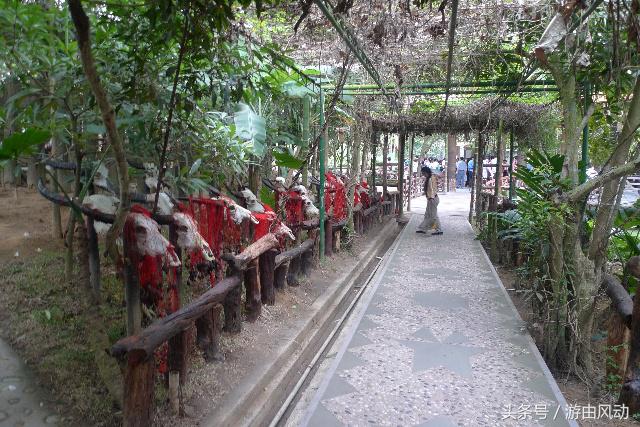 槟榔谷部落文化,槟榔谷文化探索