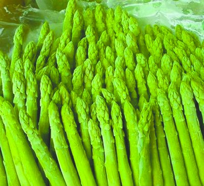 生活小窍门健康饮食,生活小窍门养生健康知识