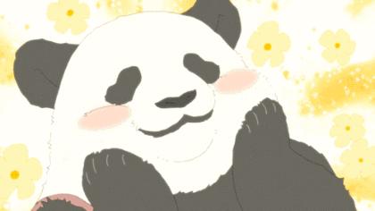 双十一不用剁手也能捡漏,双十一不用吃土的视频