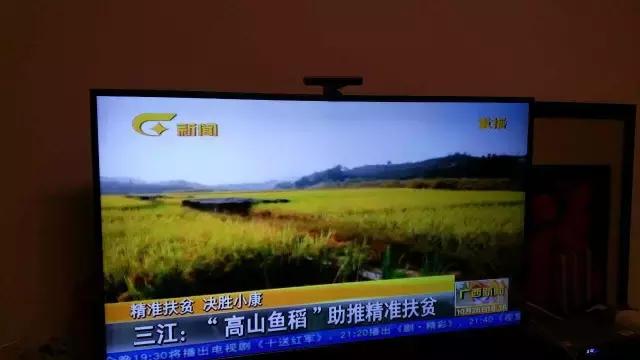 我为家乡代言直播,我为家乡代言线下活动