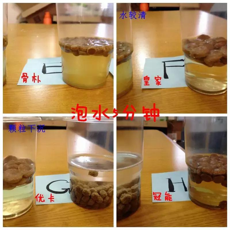 到底应该买什么狗粮,好的狗粮怎么买