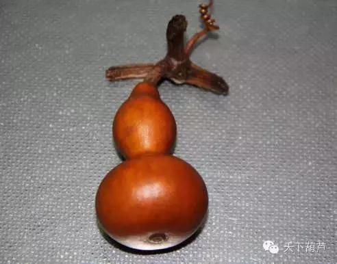 怎么人工修正葫芦,怎么鉴别葫芦是否去皮