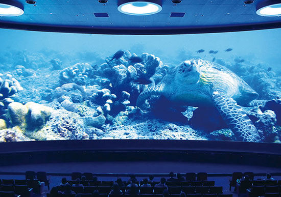 岛国人民开购物中心的脑洞，你不得不服！