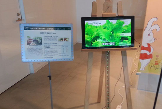 岛国人民开购物中心的脑洞，你不得不服！