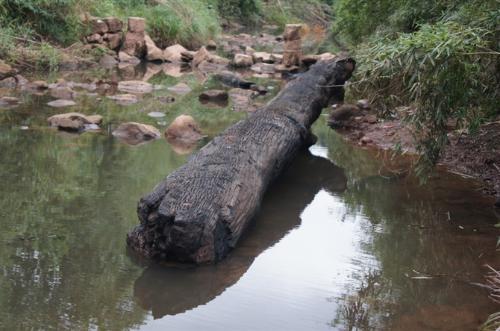 乌木是指什么木,最硬的乌木是什么木