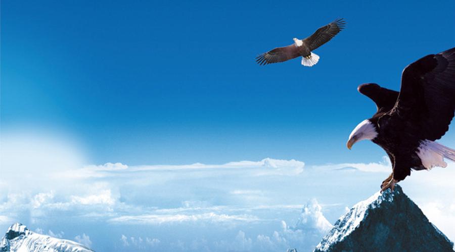 PARP-1抑制剂使用条件,par-1抑制剂