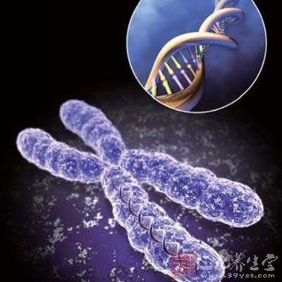 胎儿异常胚胎染色体有必要查吗,胎儿染色体会突然变异吗