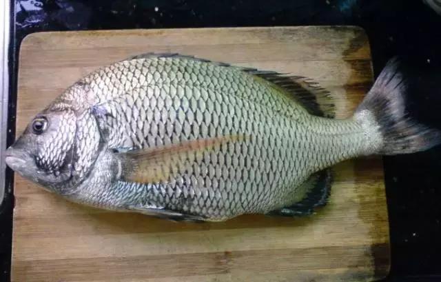 越洗越脏的三种洗菜方法,怎么洗菜才能洗干净又不失营养