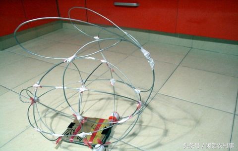 在农村抓动物,在农村里抓兔子