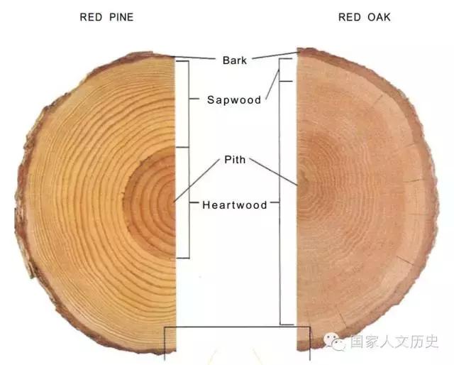 越南军队标志性头盔,越南士兵头盔为什么是斗笠