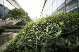 佳能16-35mmF2.8III镜头评测：9年换代值得等