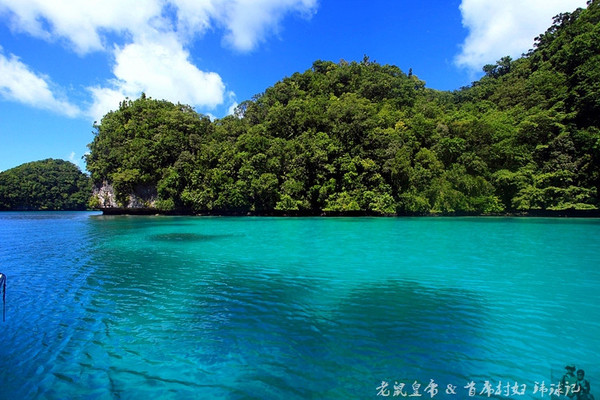 彩虹王国美术作品,彩虹王国紫色