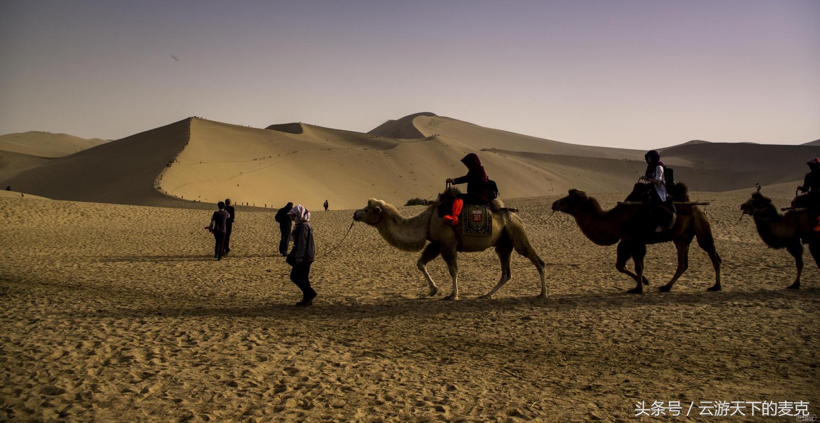 手牵手一起走遍大自然每个角落,手牵手一起走遍祖国的每个角落