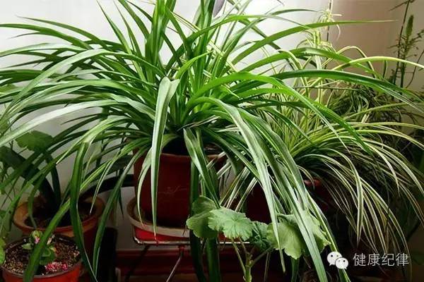 家中的污染源在哪里,检测家中污染源