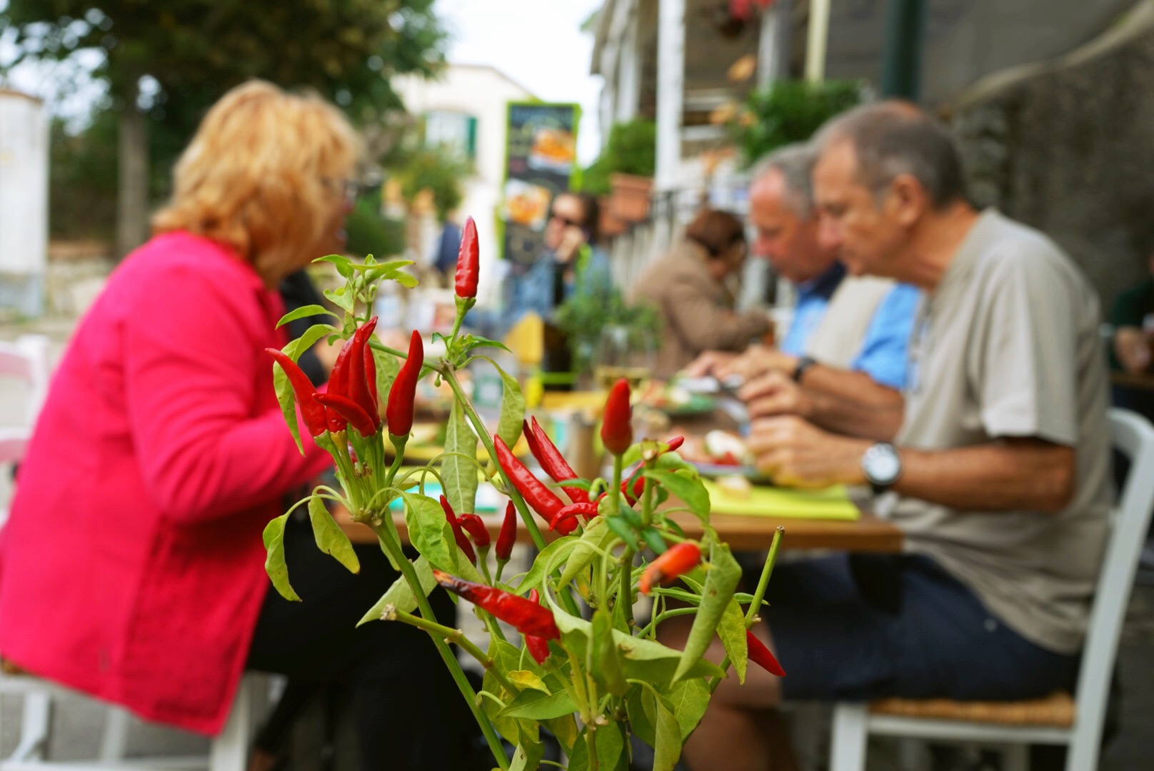 博大精深的中国文化看法,中华文化博大精深整懵外国人