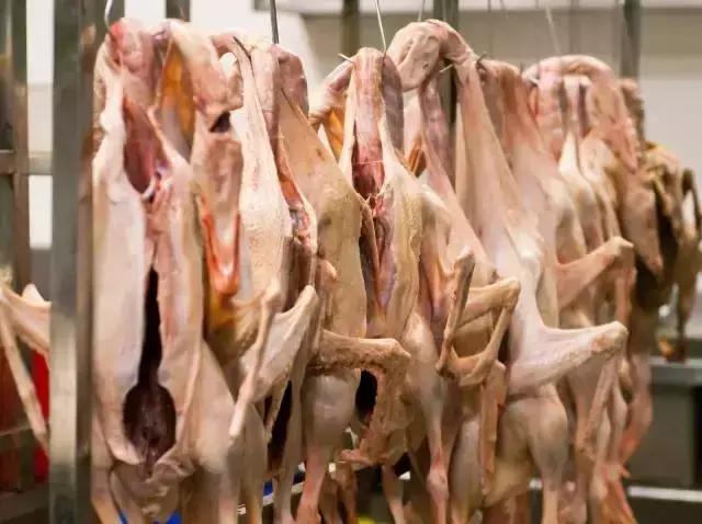 火焰醉鹅长沙火爆,火爆全国火焰醉鹅