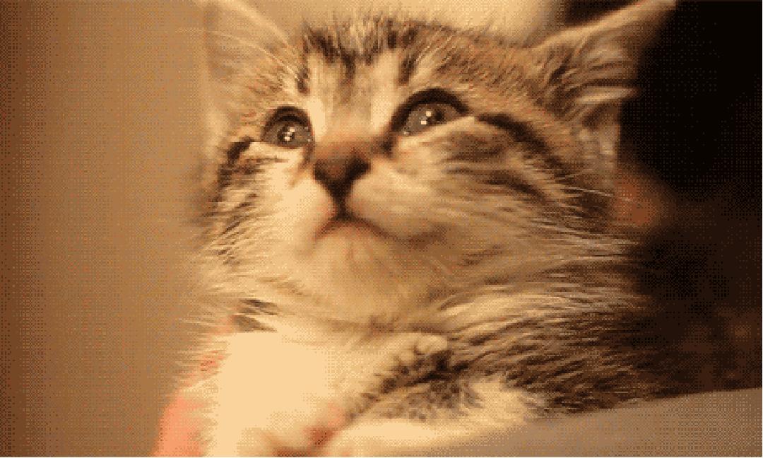 你身上哪些器官属于五官,你身上有哪些部位不能碰