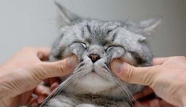 为什么美瞳隐形眼镜戴久了会模糊,美瞳戴上之后四周感觉视线模糊