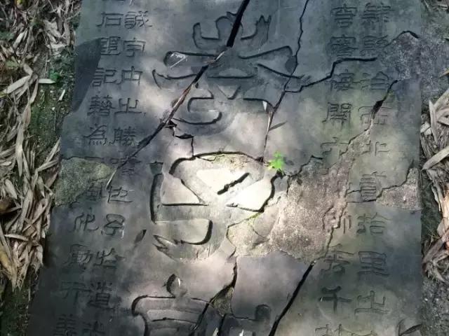 西安离白水有多少公里,白水县隔西安有多远呢