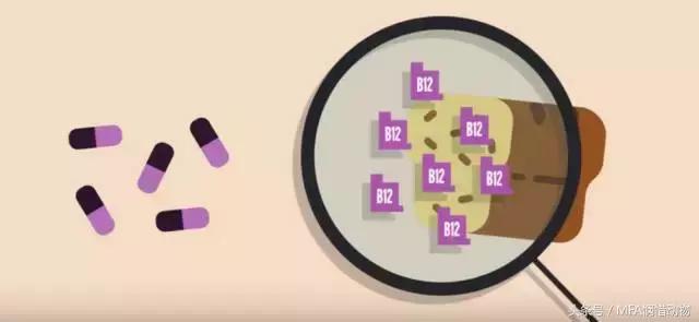 酵母的营养价值及功效与作用,营养酵母是啥