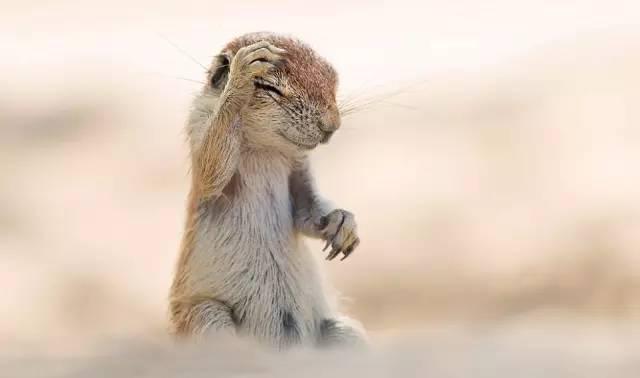 生活小窍门健康饮食,生活小窍门养生健康知识