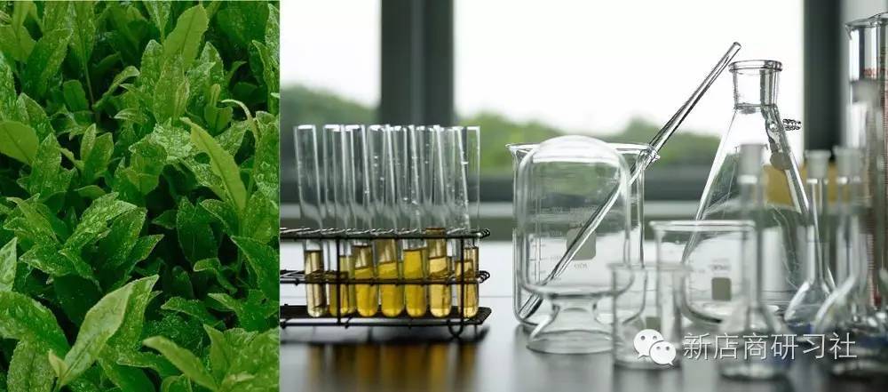 别傻了，无论你在购物中心买哪个韩国护肤品，都来自同一家！