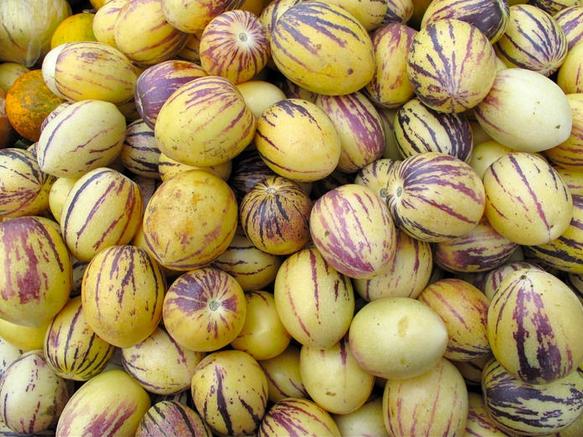 孕妇能吃八戒人参果么,人参果孕妇吃可以吗