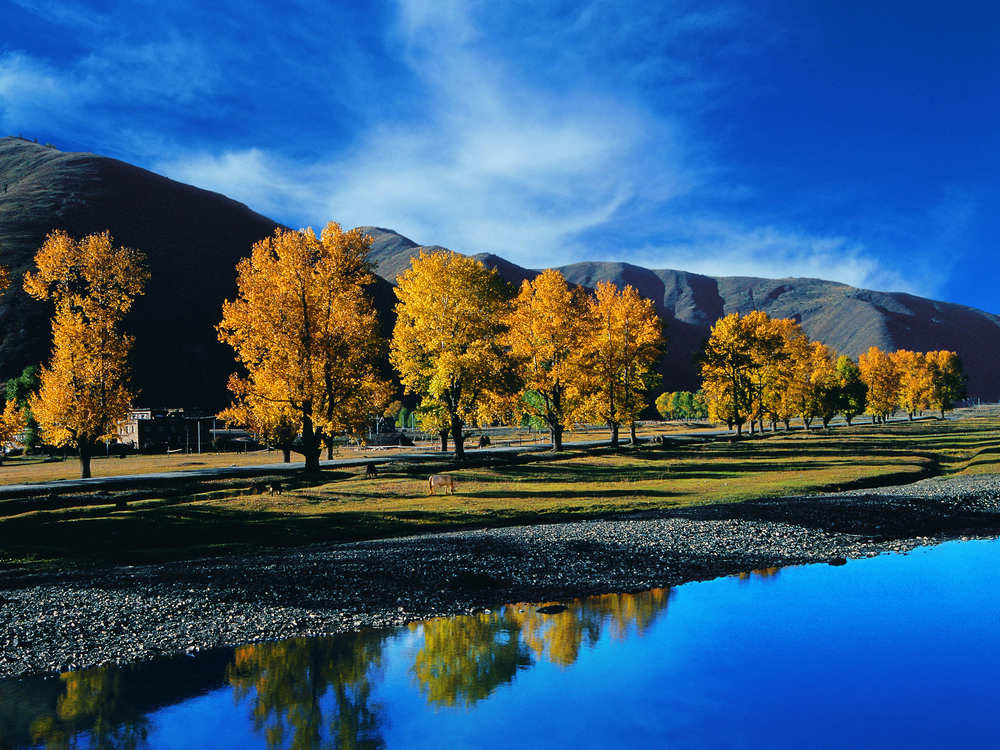十大拍婚纱照地点冬季,最适合拍婚纱照的地方