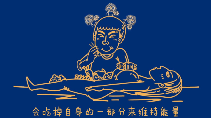 关于大脑的十个冷知识,大脑冷知识100个