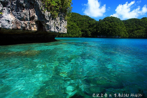 彩虹王国美术作品,彩虹王国紫色