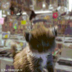 如何控制生育男孩,如何控制住生孩子的想法