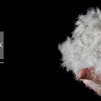 男士波司登防风羽绒服,冬季抗极寒加厚防寒羽绒服男款