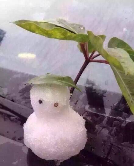 关于快递停运的最新通知,再过2天快递就停运了