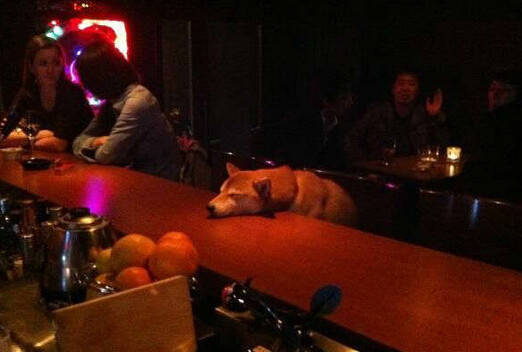 关于快递停运的最新通知,再过2天快递就停运了