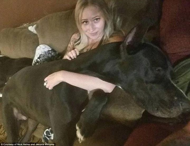 春晚你最期待哪个节目,春晚你最期待的节目