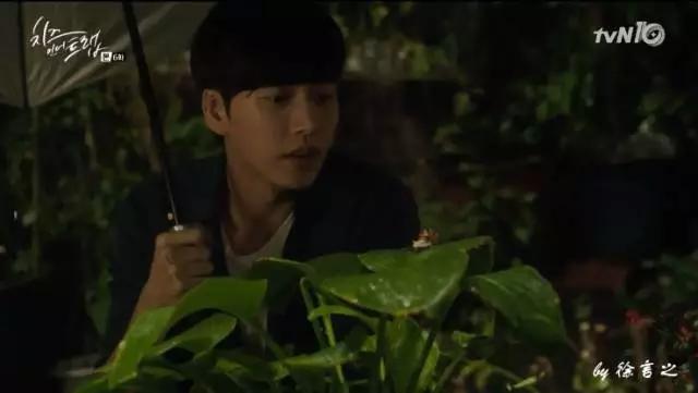 奶酪陷阱丨这么做才能成为像朴海镇一样的撩妹高手！